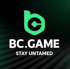 Download the BC App Your Gateway to Enhanced Mobile Experience
