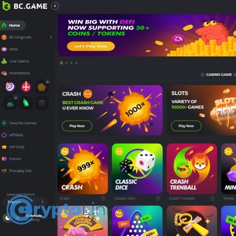 Exploring the World of BC.Game Betting Platform