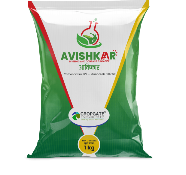 AVISHKAR