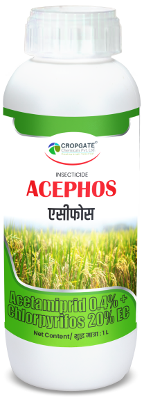 ACEPHOS