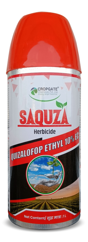 SAQUIZHA