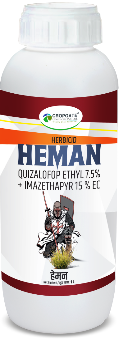 HEMAN