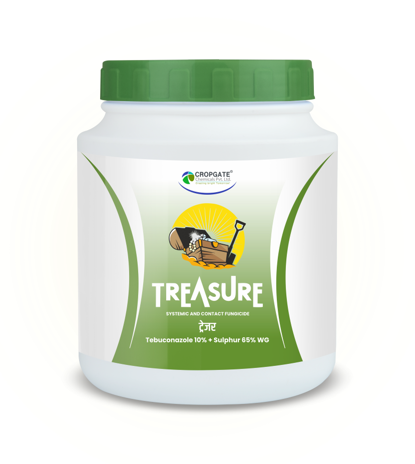TREASURE