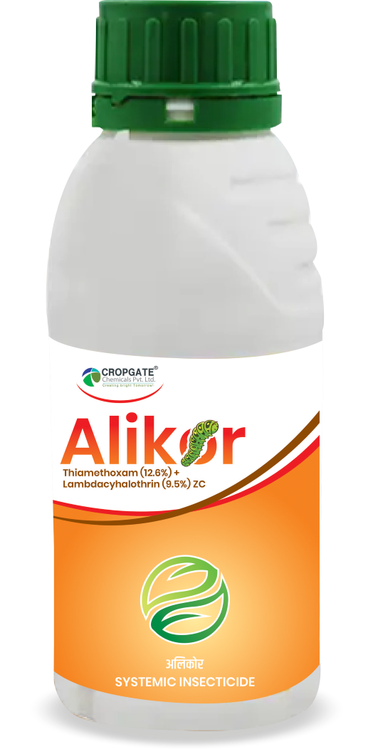 ALIKOR