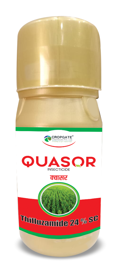 QUASOR