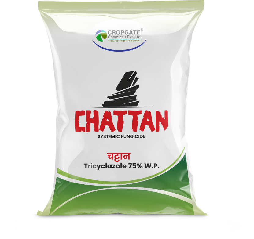 CHATTAN