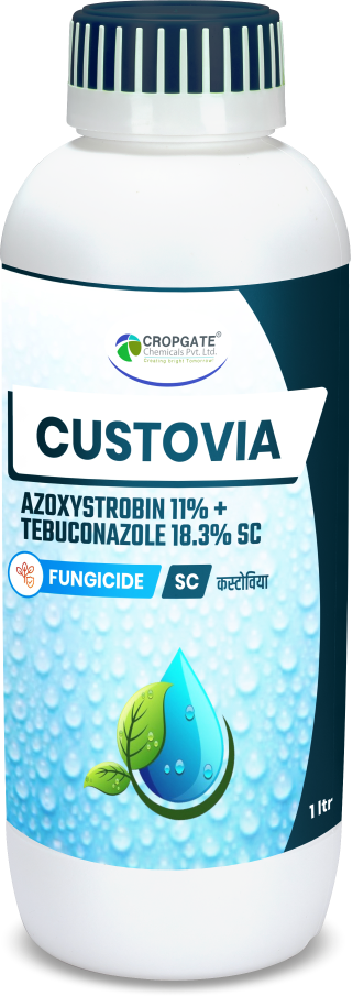 CUSTOVIA