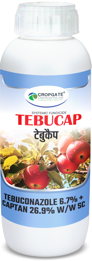 TEBUCAP