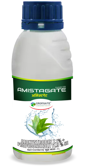 AMISTAGATE