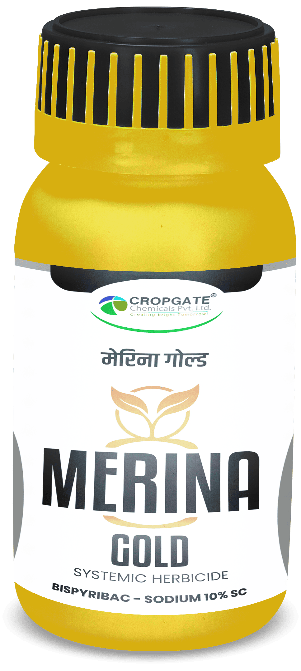 MERINA GOLD