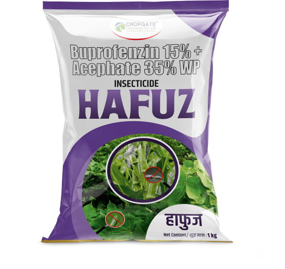 HAFUZ