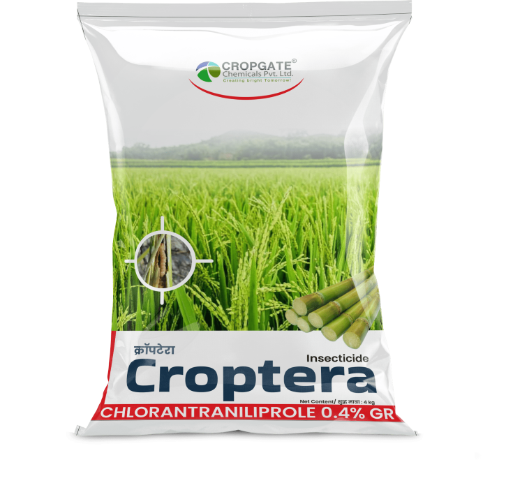 CORPTERA
