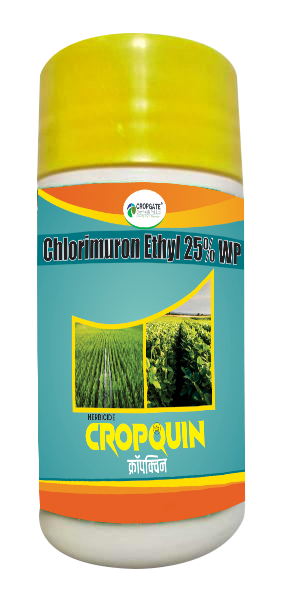 CROPQUIN