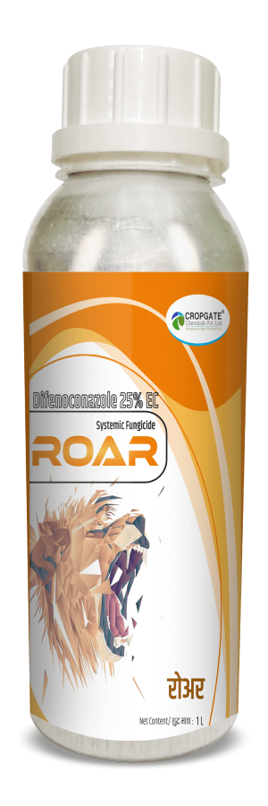 ROAR