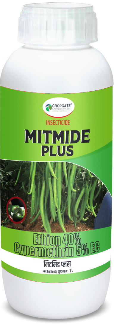 MITMIDE PLUS