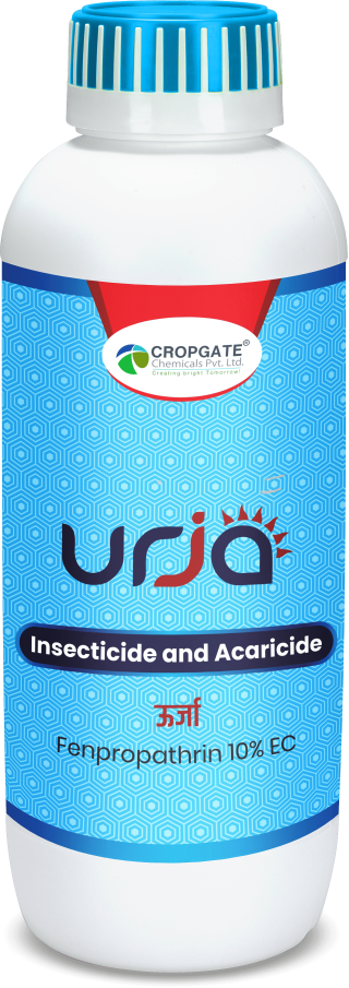 URJA
