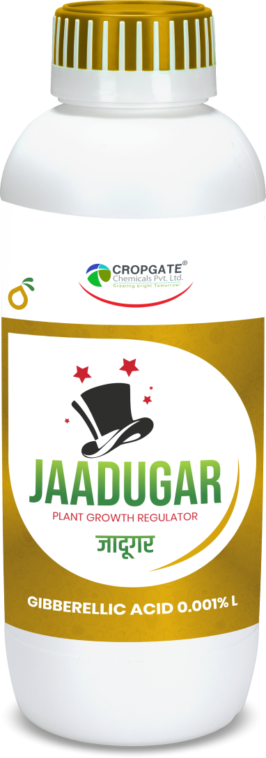 JAADUGAR