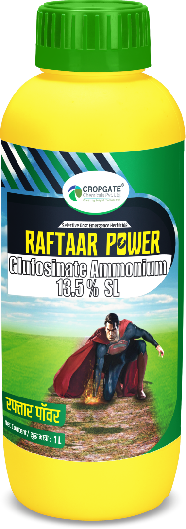 RAFTAAR POWER