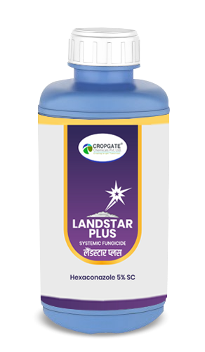 LANDSTAR PLUS