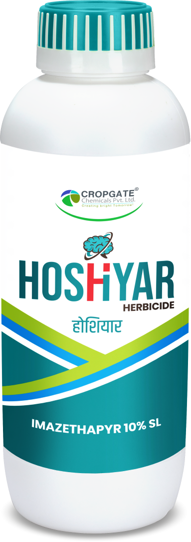 HOSHIYAR