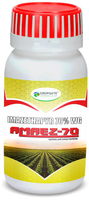 AMAZE-70