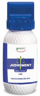 JUDGEMENT