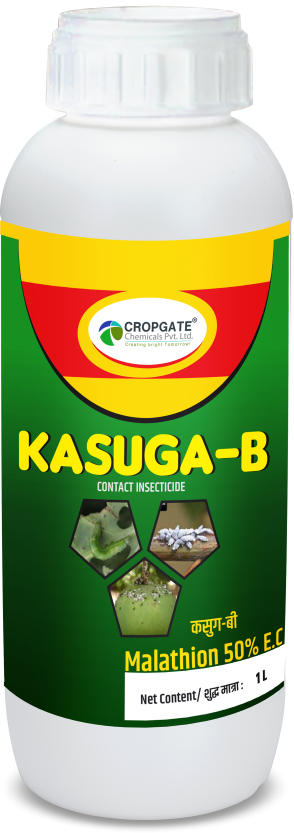 KASUGA-B