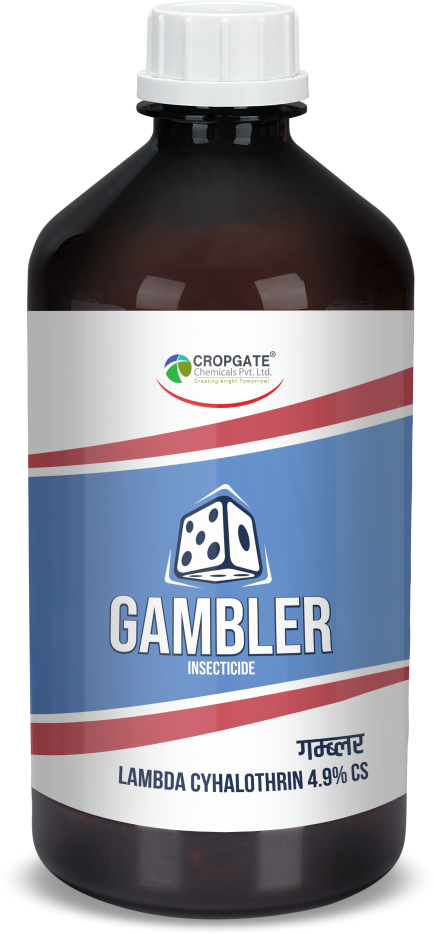 GAMBLER