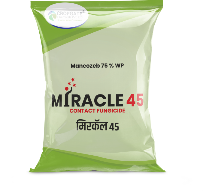 MIRACLE 45