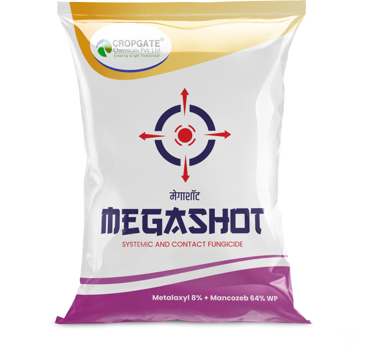 MEGASHOT