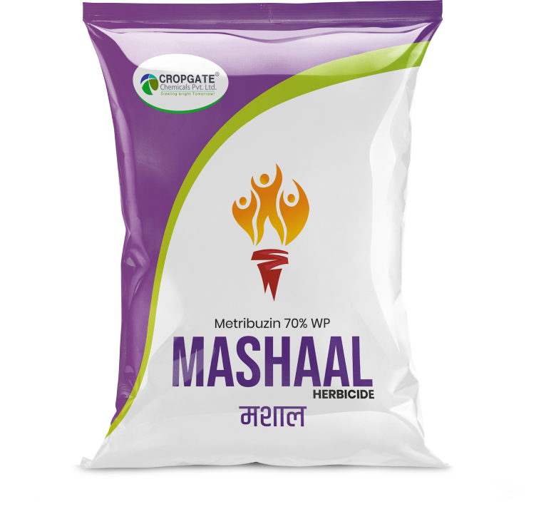 MASHAAL