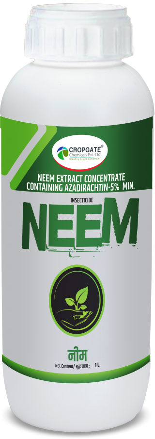 NEEM