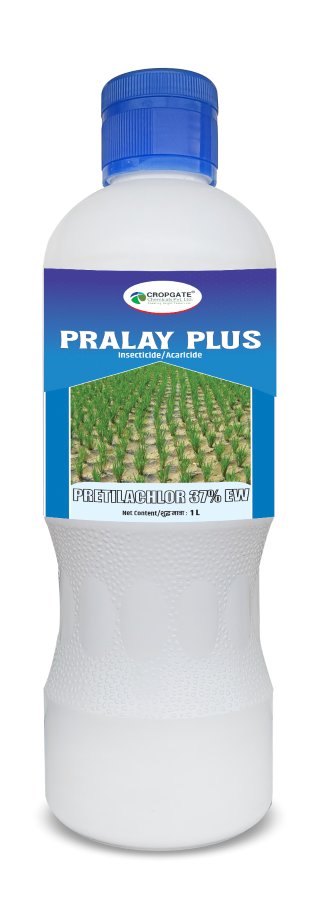 PRALY PLUS