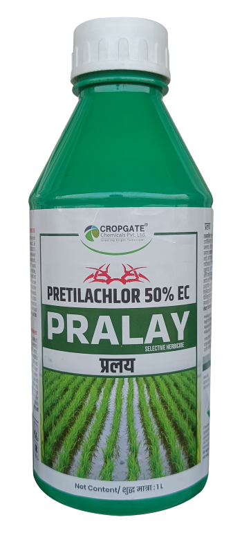 PRALAY