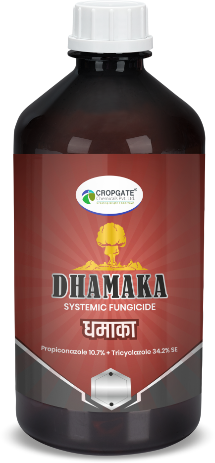 DHAMAKA